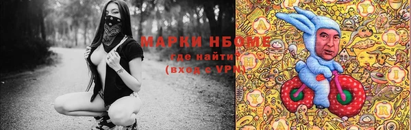 PSILOCYBIN Алзамай