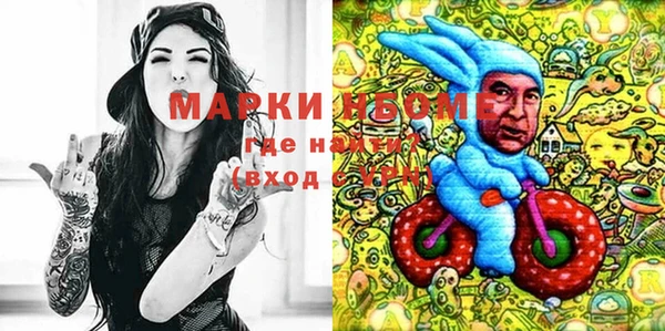 кокс Алексин