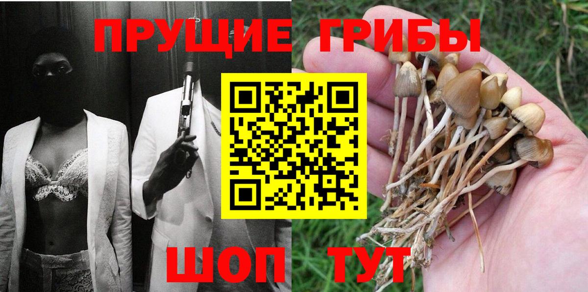 Псилоцибиновые грибы мицелий  Вход с VPN  Псилоцибиновые грибы Psilocybine cubensis  Октябрьский 